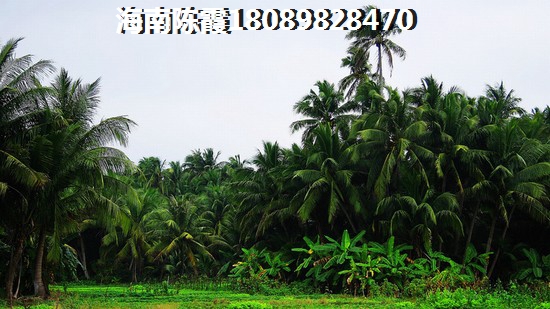 天成·云玺房价下跌是实情还是谎言？